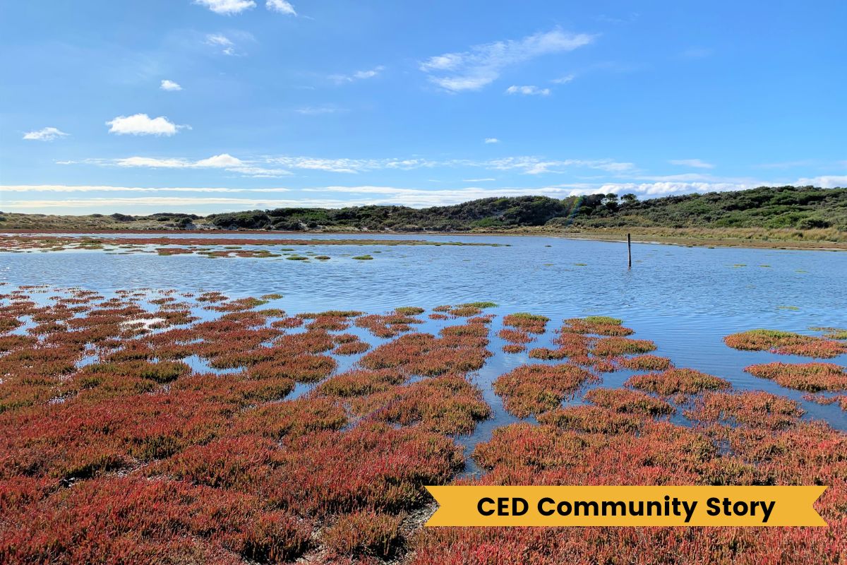 CED-Story-MTWAC-Many-Rivers-1.jpg