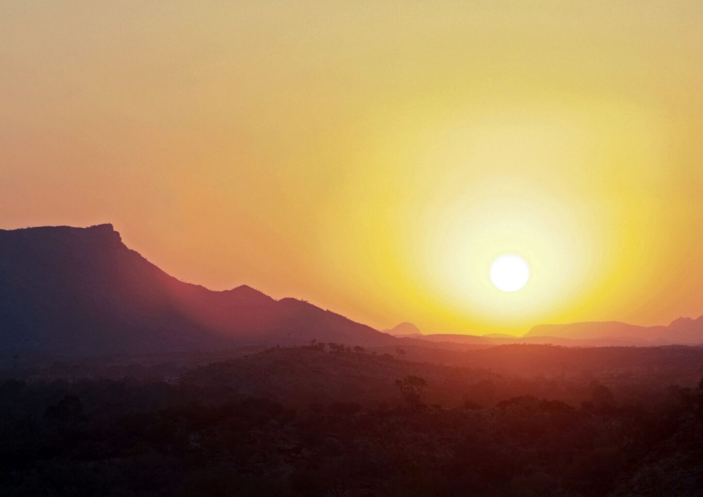website-banner-1.jpg